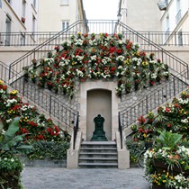 Paris | Blumenpracht in der Nähe des Panthéon