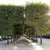 Paris | Diverse | Jardin du Palais Royal